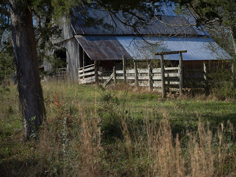 2021-B0000318-Jericho-Road-north-of-Quebeck-768x576.jpg